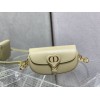 Dior バッグ ディオールバッグ Diorbag-020 サイズ  :   21 x 12 x 5.1 cm