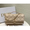 Dior バッグ ディオールバッグ Diorbag-098 サイズ  :   21 x 11 x 5cm