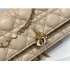 Dior バッグ ディオールバッグ Diorbag-098 サイズ  :   21 x 11 x 5cm