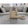 Dior バッグ ディオールバッグ Diorbag-131 サイズ  :   17 x 7 x 15cm