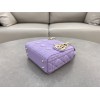 Dior バッグ ディオールバッグ Diorbag-132 サイズ  :   17 x 7 x 15cm