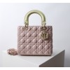 Dior バッグ ディオールバッグ Diorbag-147 サイズ  :   24 x 20 x 11cm