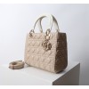Dior バッグ ディオールバッグ Diorbag-150 サイズ  :   24 x 20 x 11cm