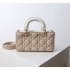 Dior バッグ ディオールバッグ Diorbag-168 サイズ  :   22.5 x 12 x 4cm