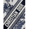Dior バッグ ディオールバッグ Diorbag-180 サイズ  :   24x 20x 11 cm