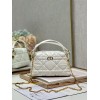 Dior バッグ ディオールバッグ Diorbag-232 サイズ  :   20x13cm