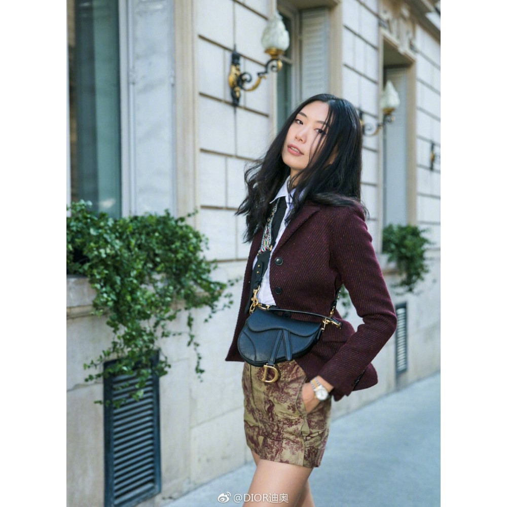 Dior バッグ ディオールバッグ Diorbag-294 サイズ  :   19.5 x 16 x 6.5 cm