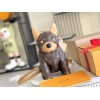 ルイ・ヴィトン バッグ M12617163 チップ搭載 特級フルセットパッケージ付き モノグラムバッグ