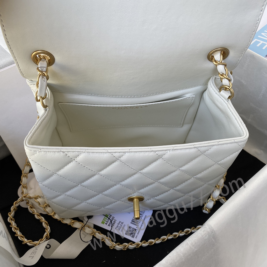 シャネル Chanel22K AS3649