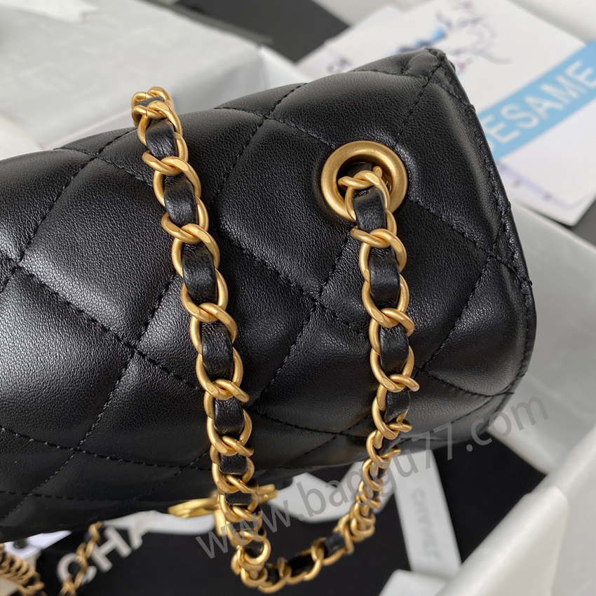 シャネル Chanel22K AS3649