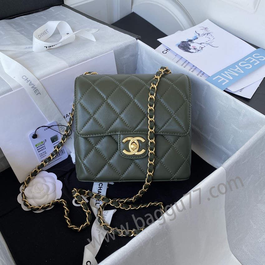 シャネル Chanel22K AS3649