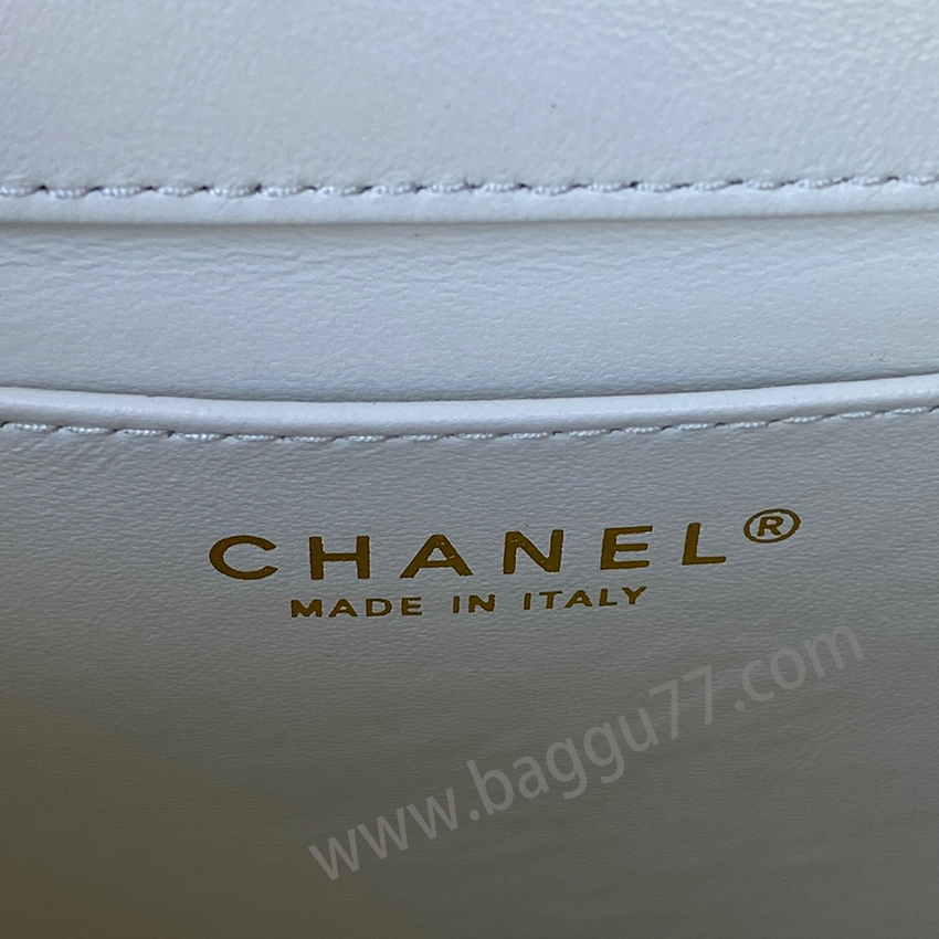 シャネル Chanel22K AS3649